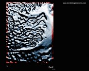 Bacteria art gallery - microbiology in pictures