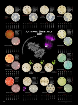 microbiology bacteria antibiotic resistance calendar 2023