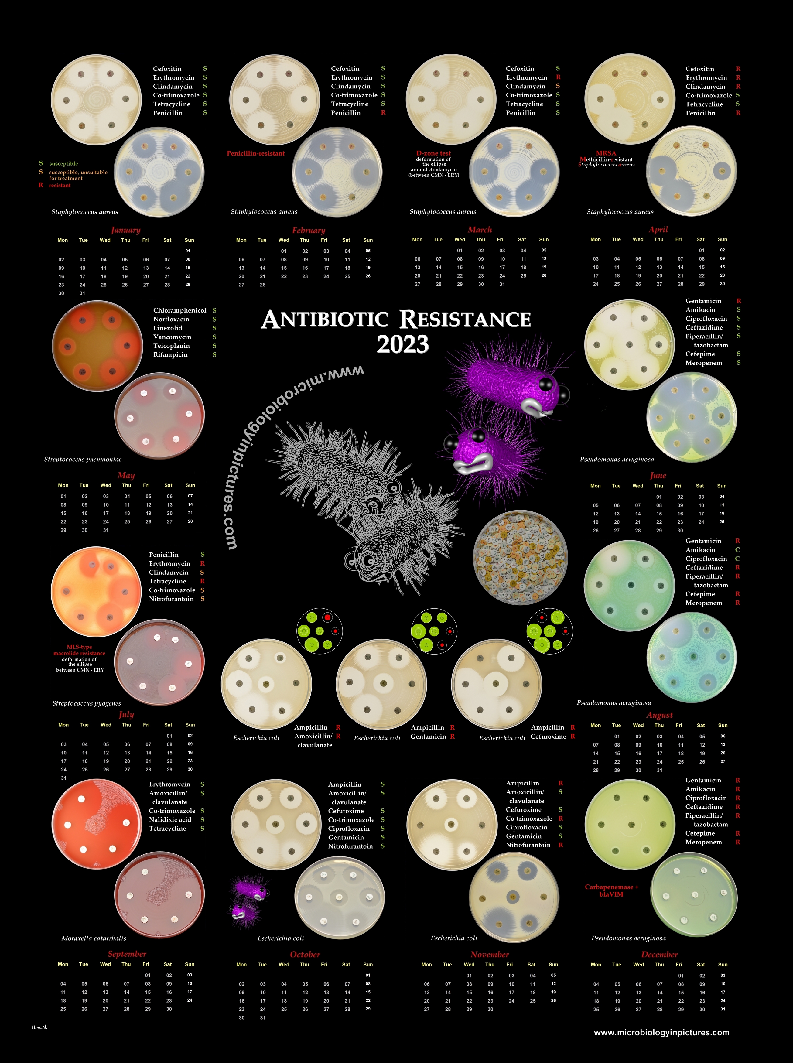 calendar antibiotic resistance