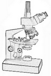 microscope