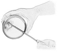 agar plate inoculation